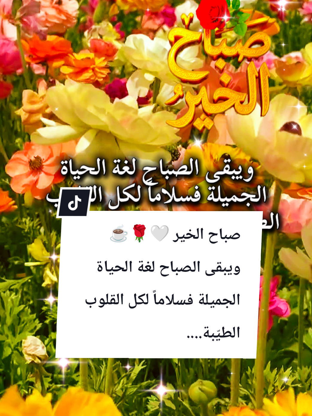 @🌟𝗦𝗼𝘂𝘇𝗮𝗻 𝗖𝗵𝗮𝗺𝘀