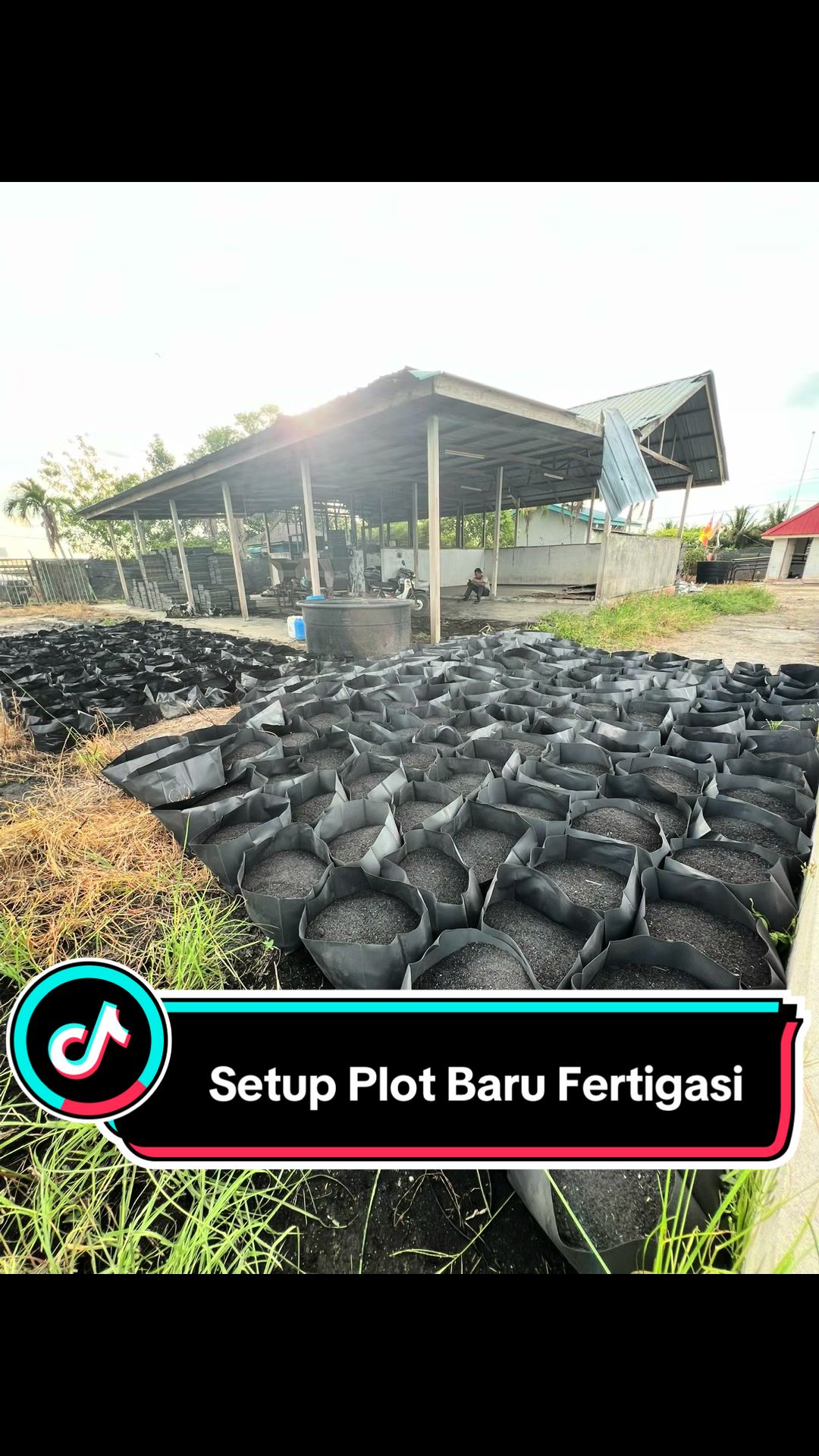 @Khairul Azwan | Petani Muda