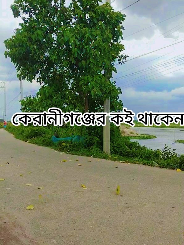 @Kalam