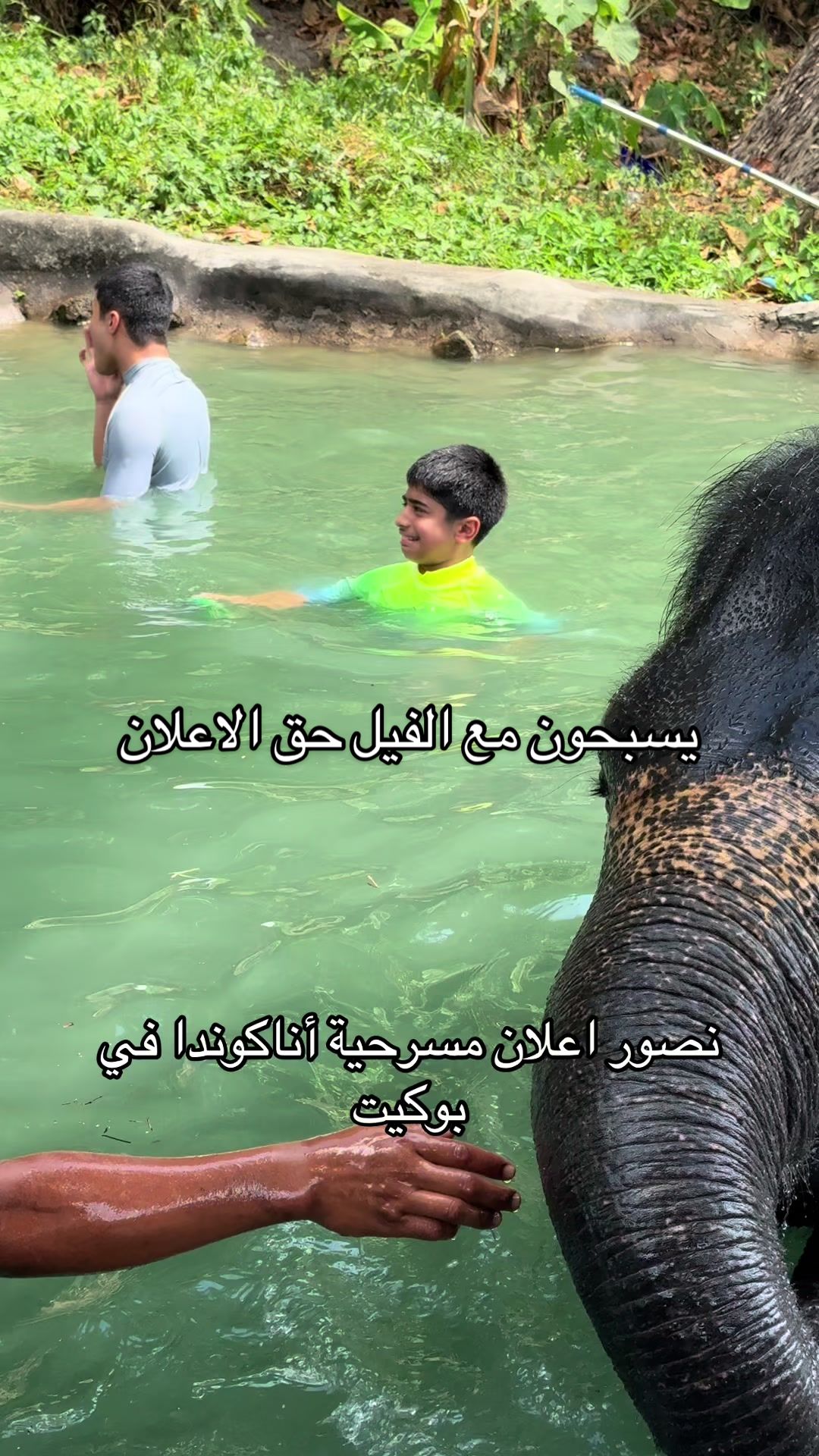 @عائلة عدنان