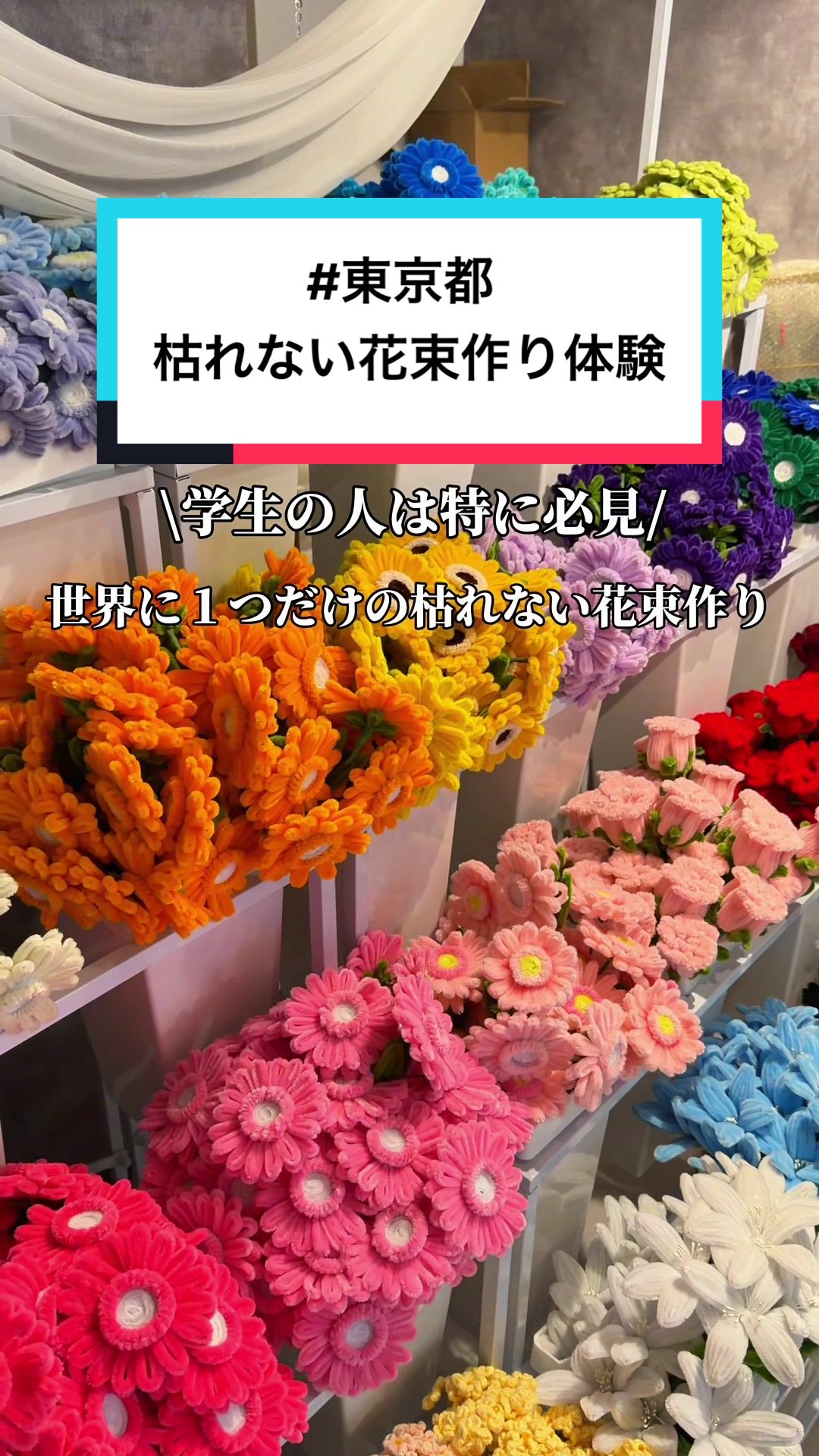 @映え旅けんと | 東京発の全国おでかけ情報