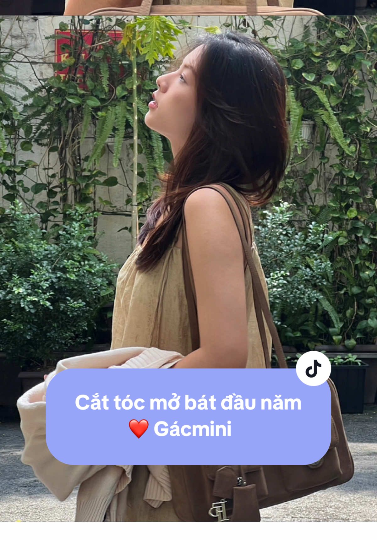 @ZÀNG
