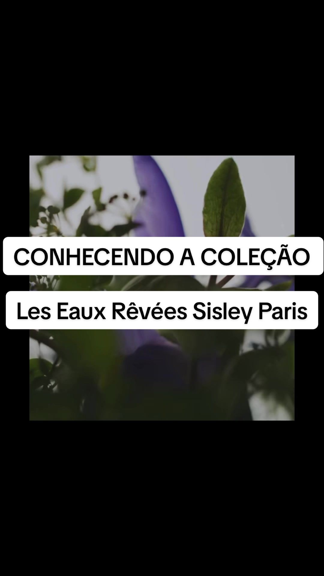 @Ju | perfumemoria
