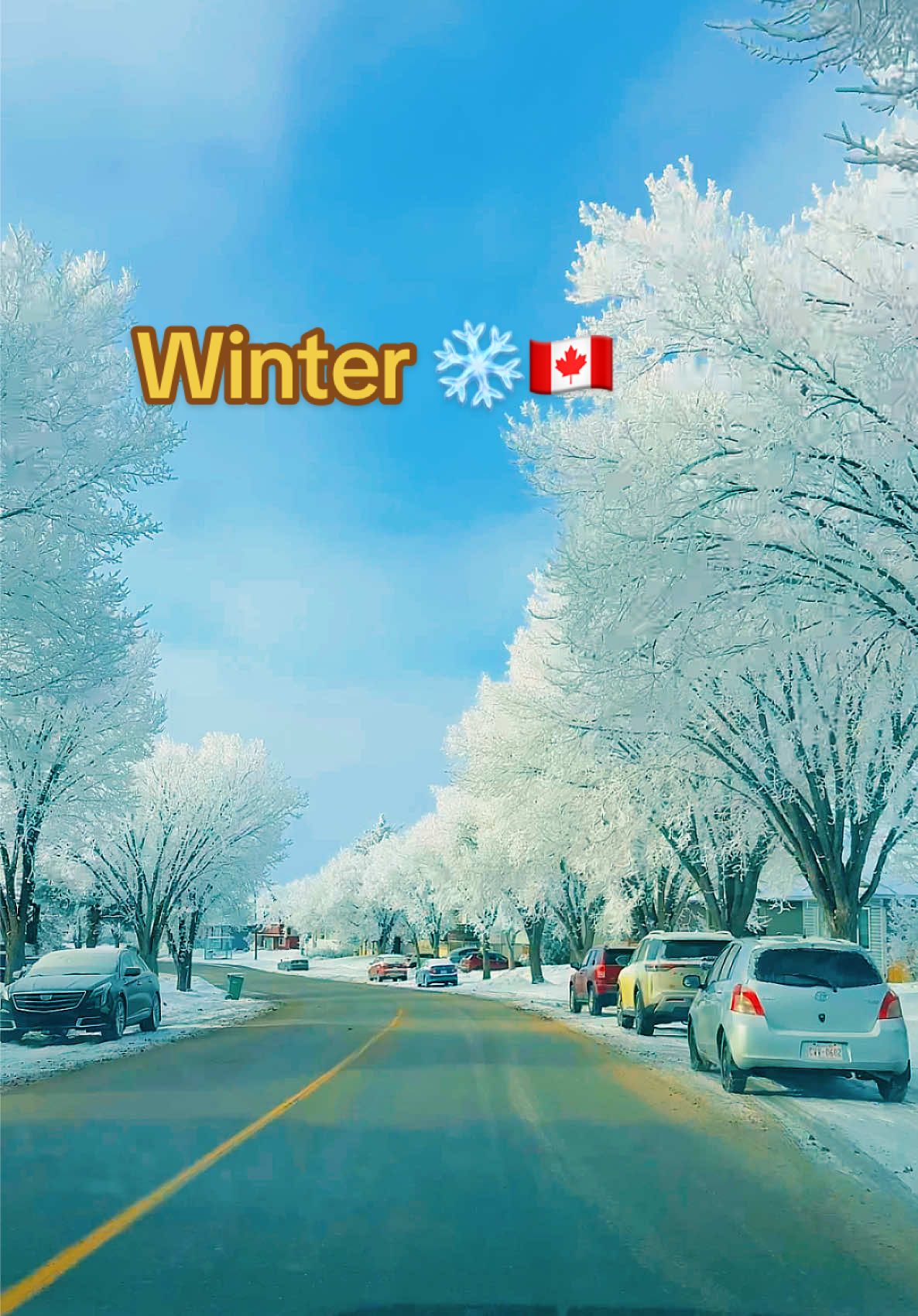 @Canada View🇨🇦