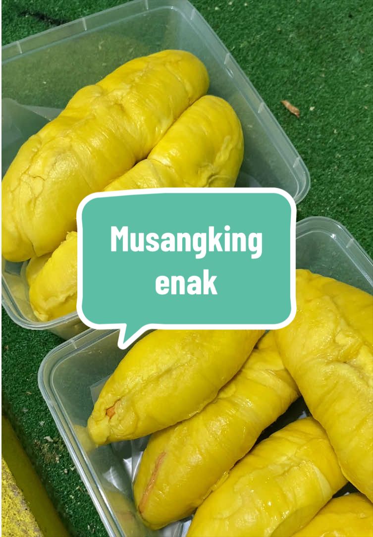 @Rumah Tamma Durian