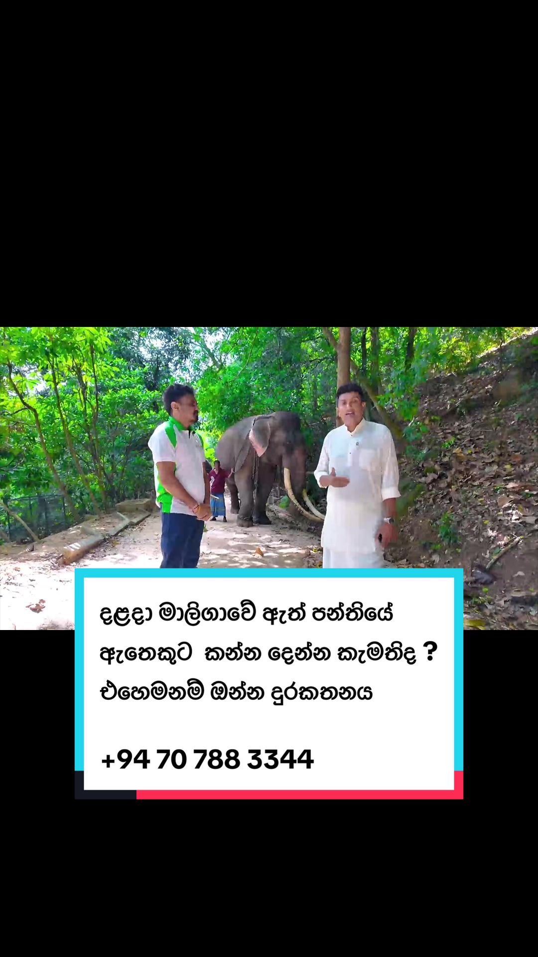 @Chatura Alwis