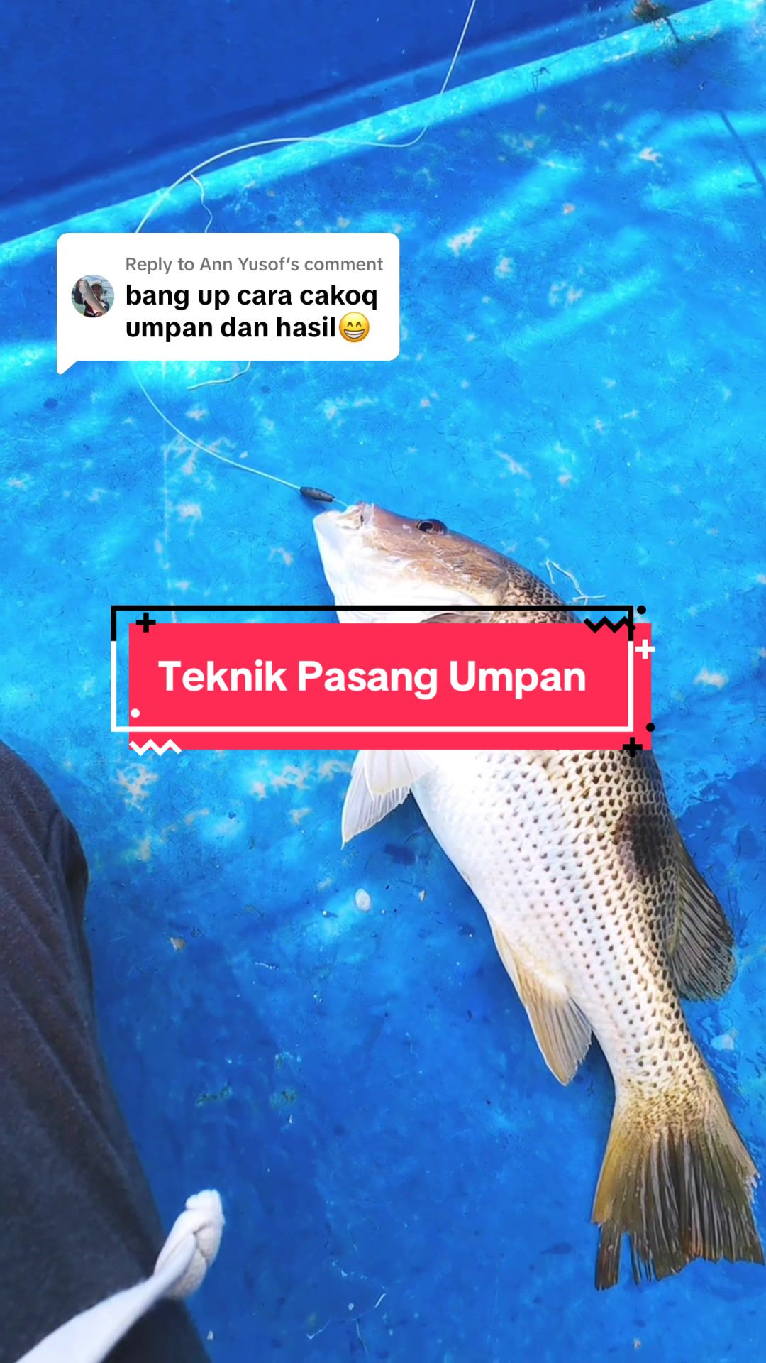 @cahidkings