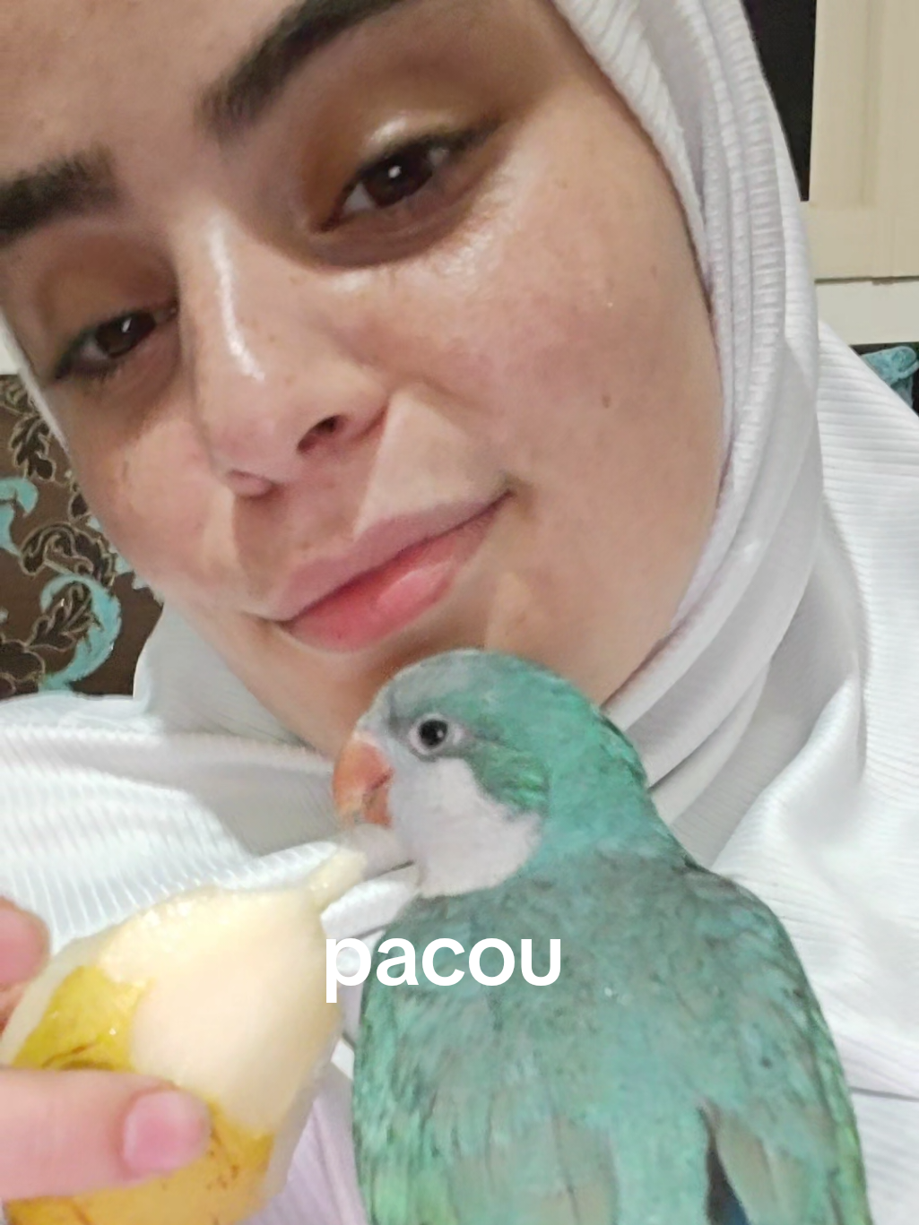 @Chazahob