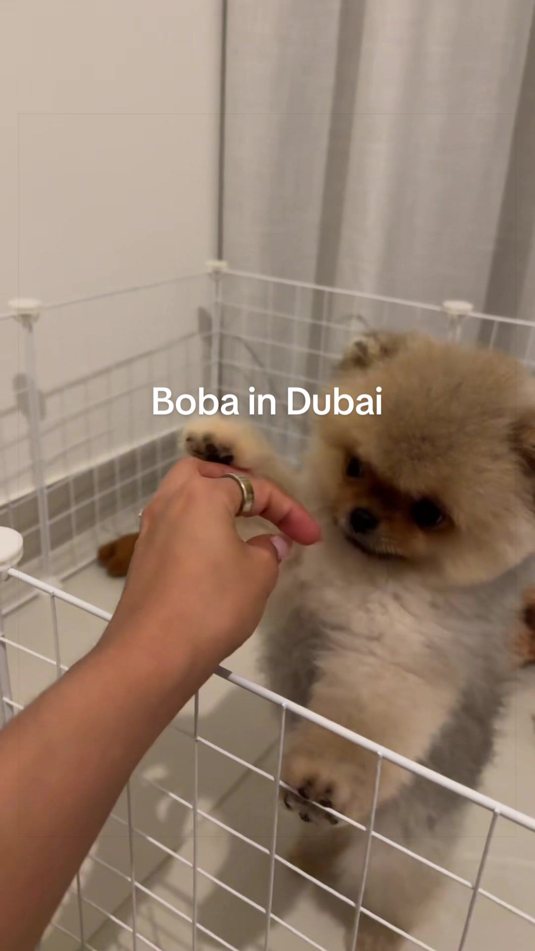 @Nath en Dubai