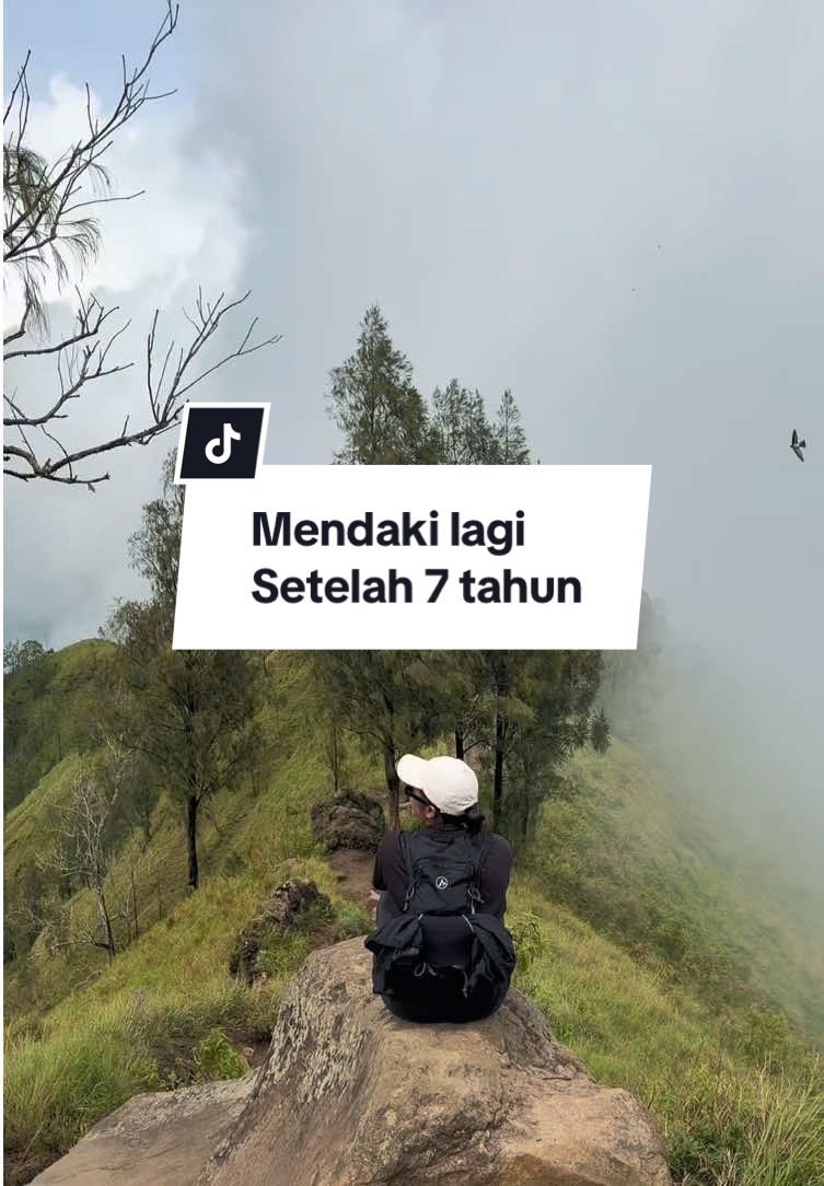 @thisissuci