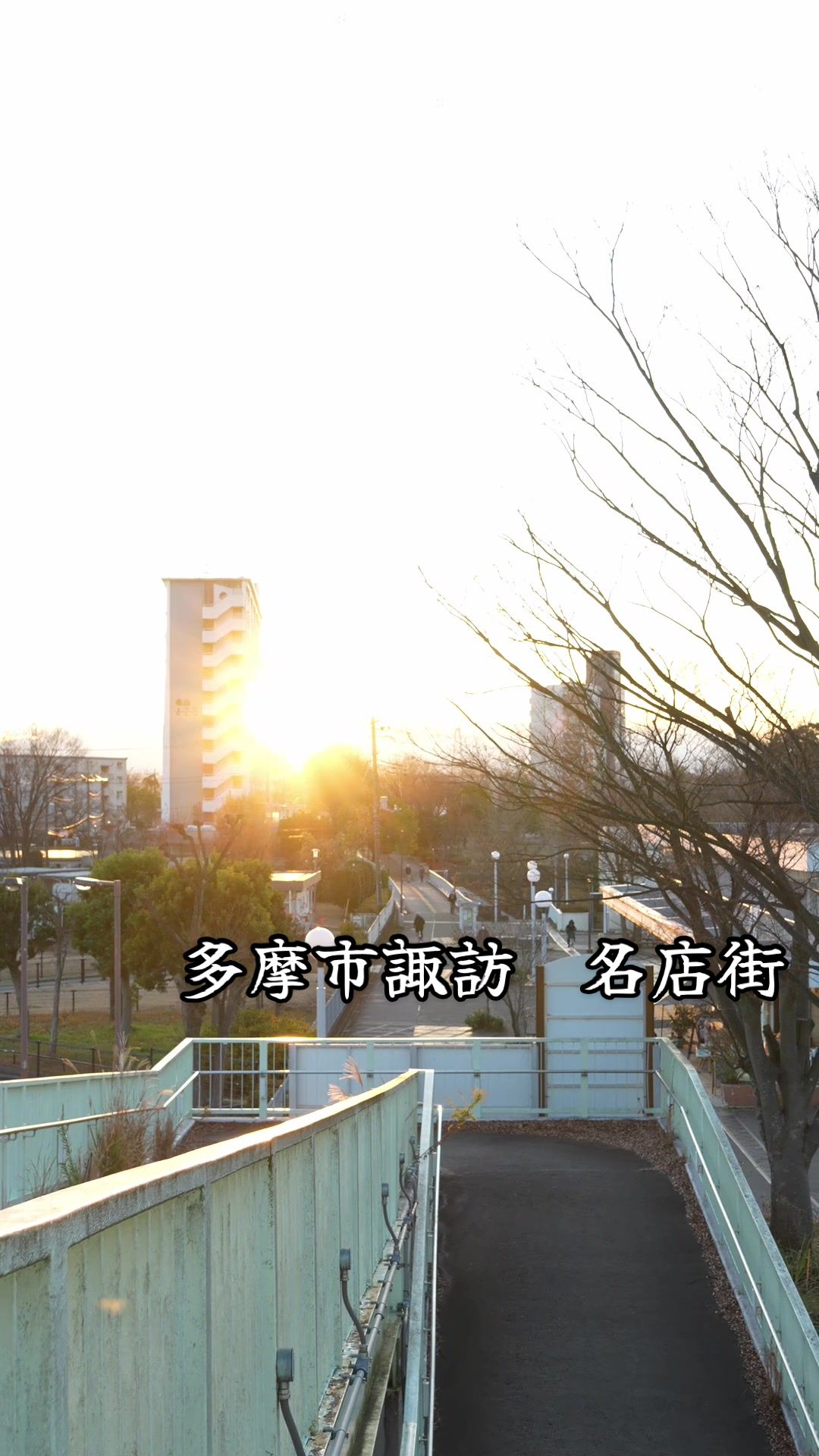 @カエルの日々