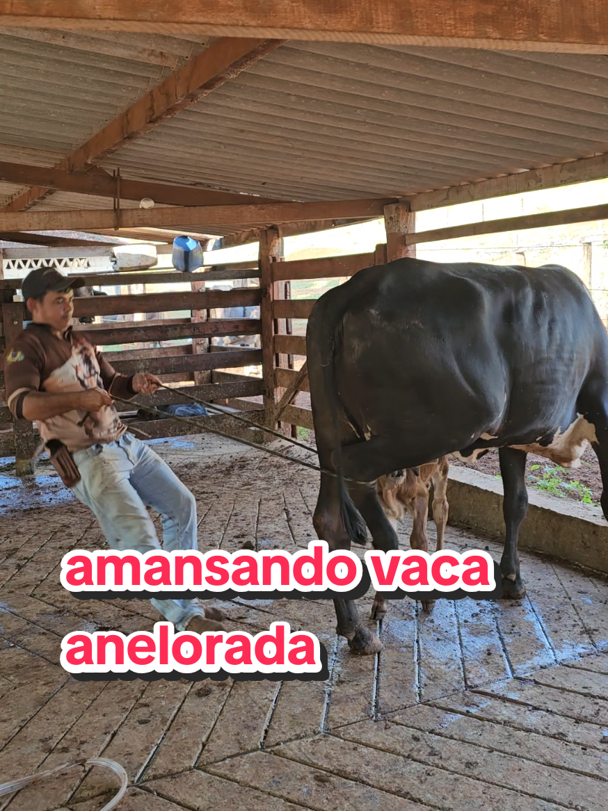 @Geovane neto