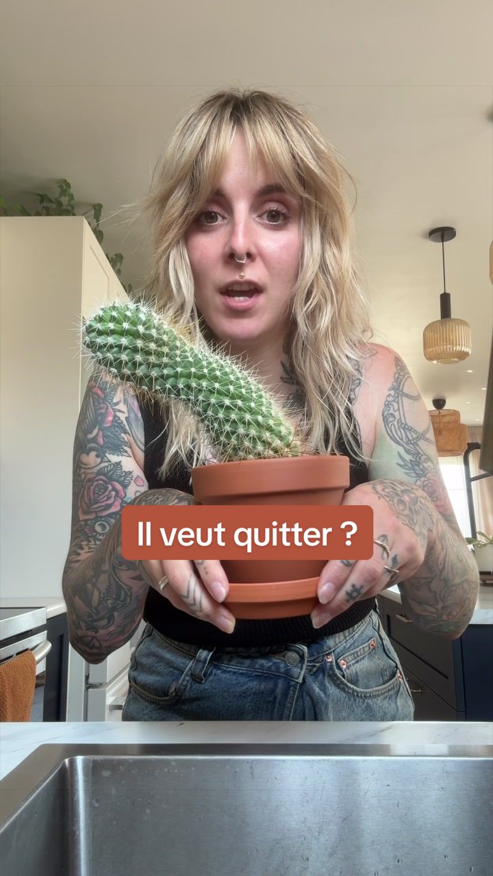 @Laura pigeon