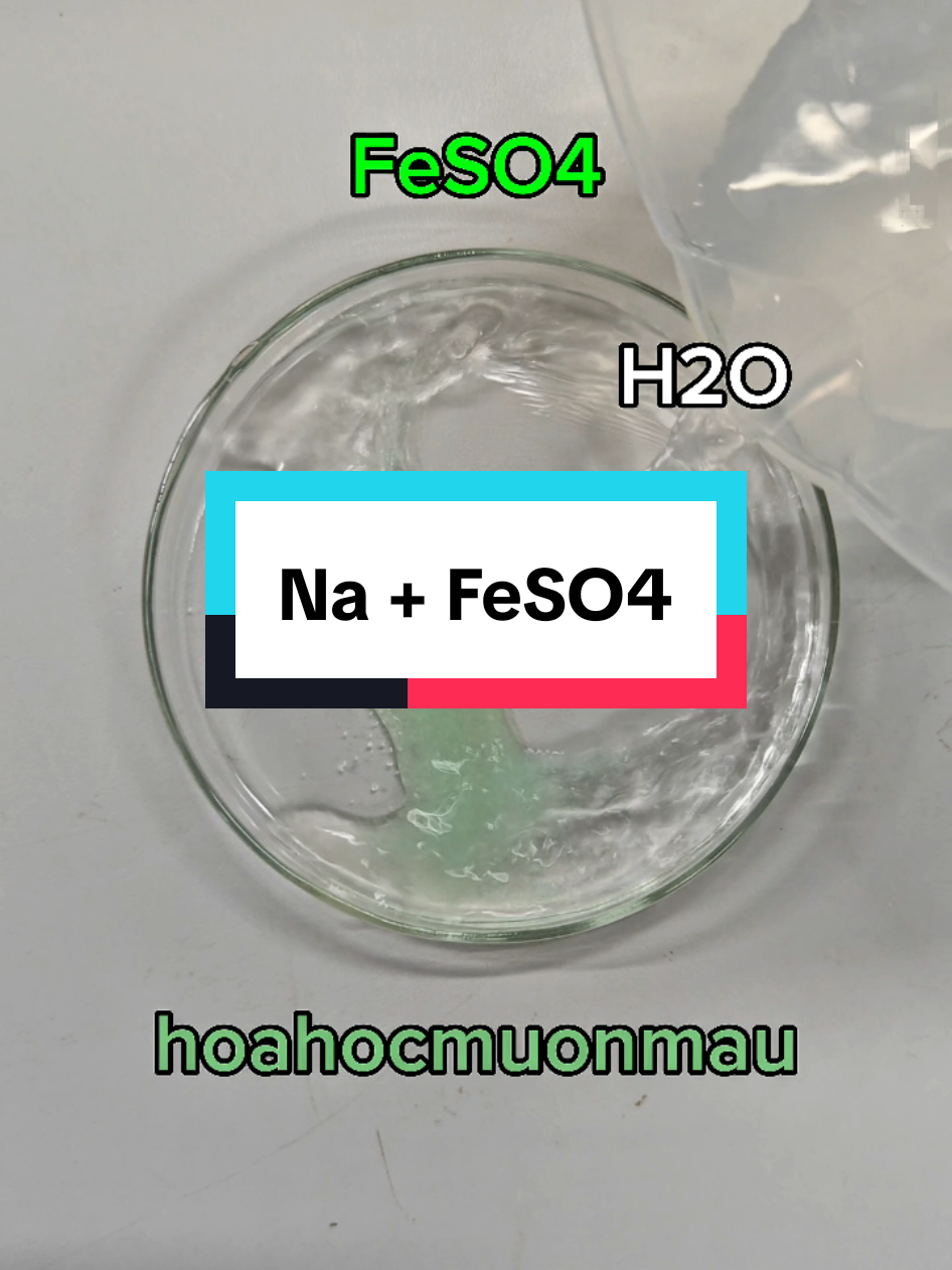 @hoahocmuonmau