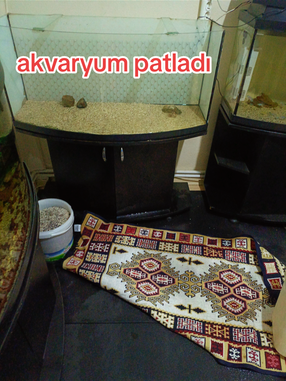 @&Ouml;zg&uuml;rce..