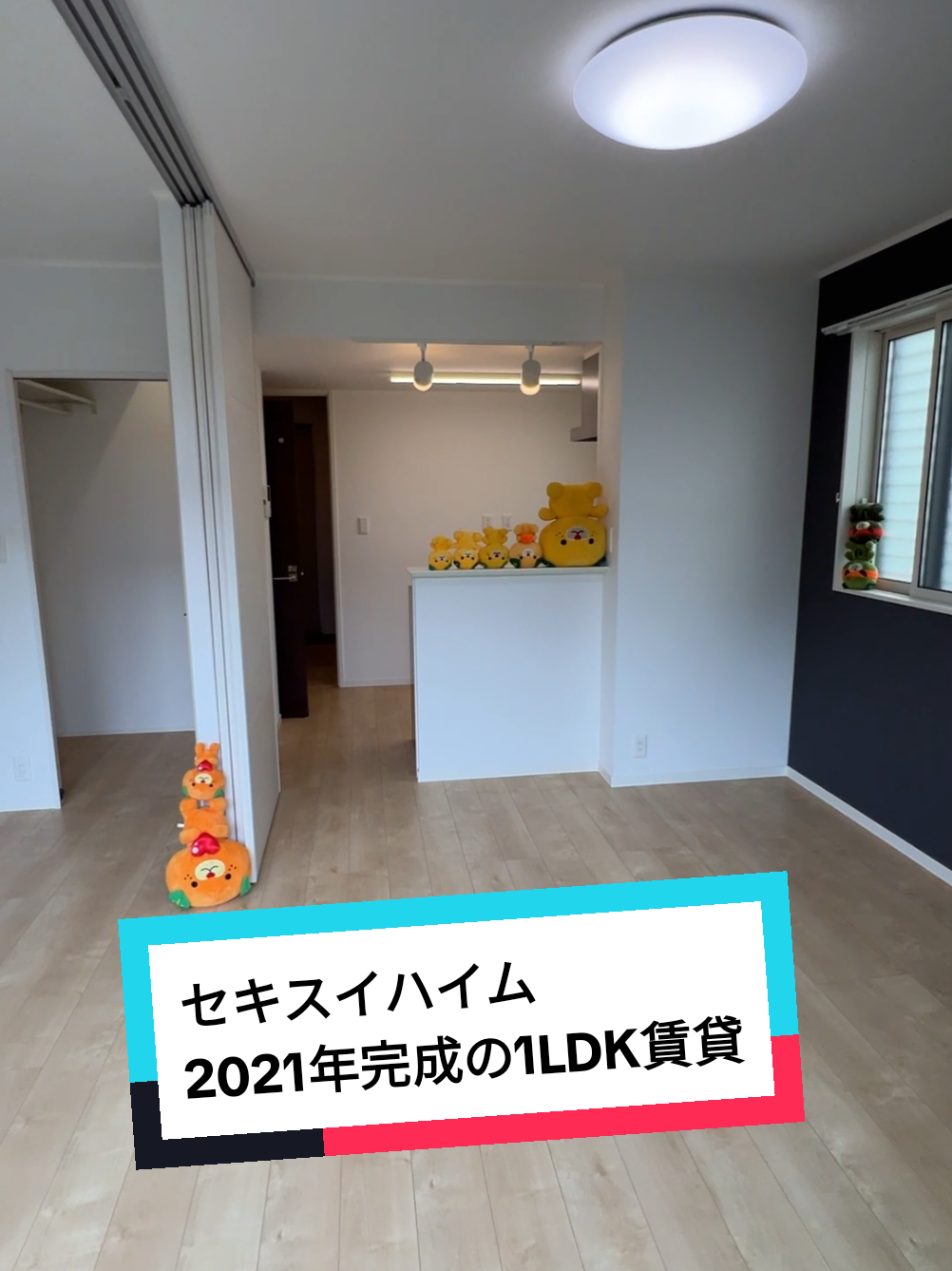@賃貸ルームツアー♪松山市と今治市みかん不動産