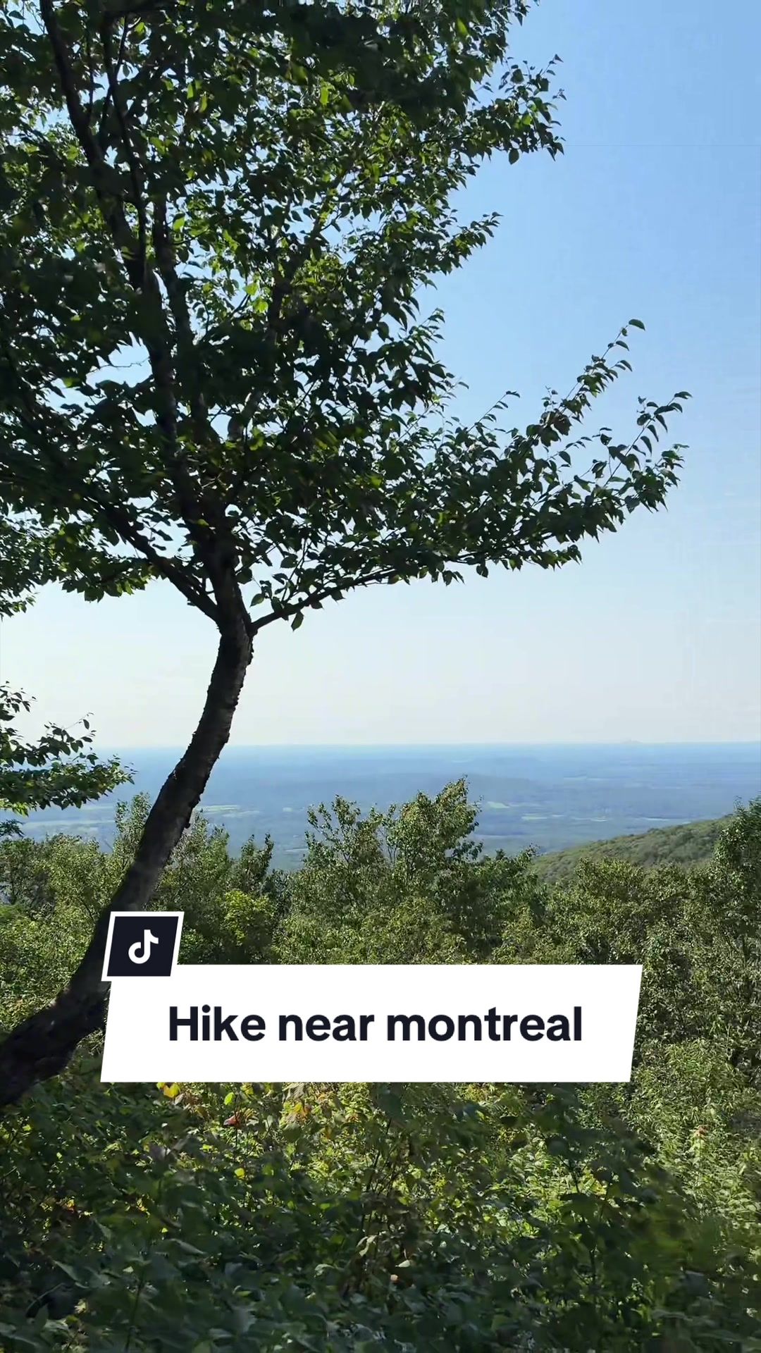 @Sara | Montreal
