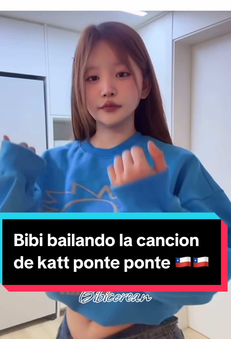 @☪️Bibicorean☪️ Cuenta Fan