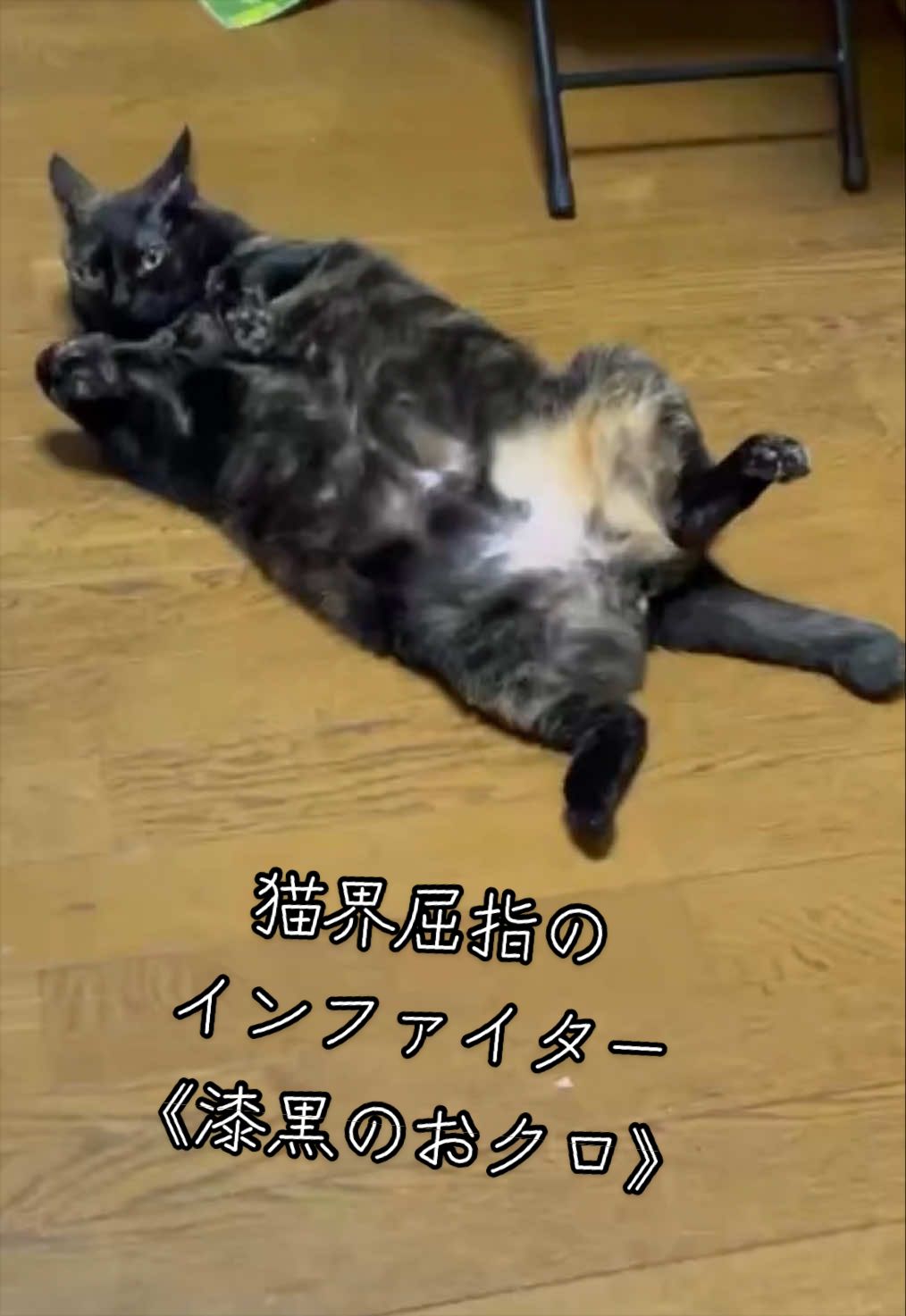 @聴々物語PROJECT
