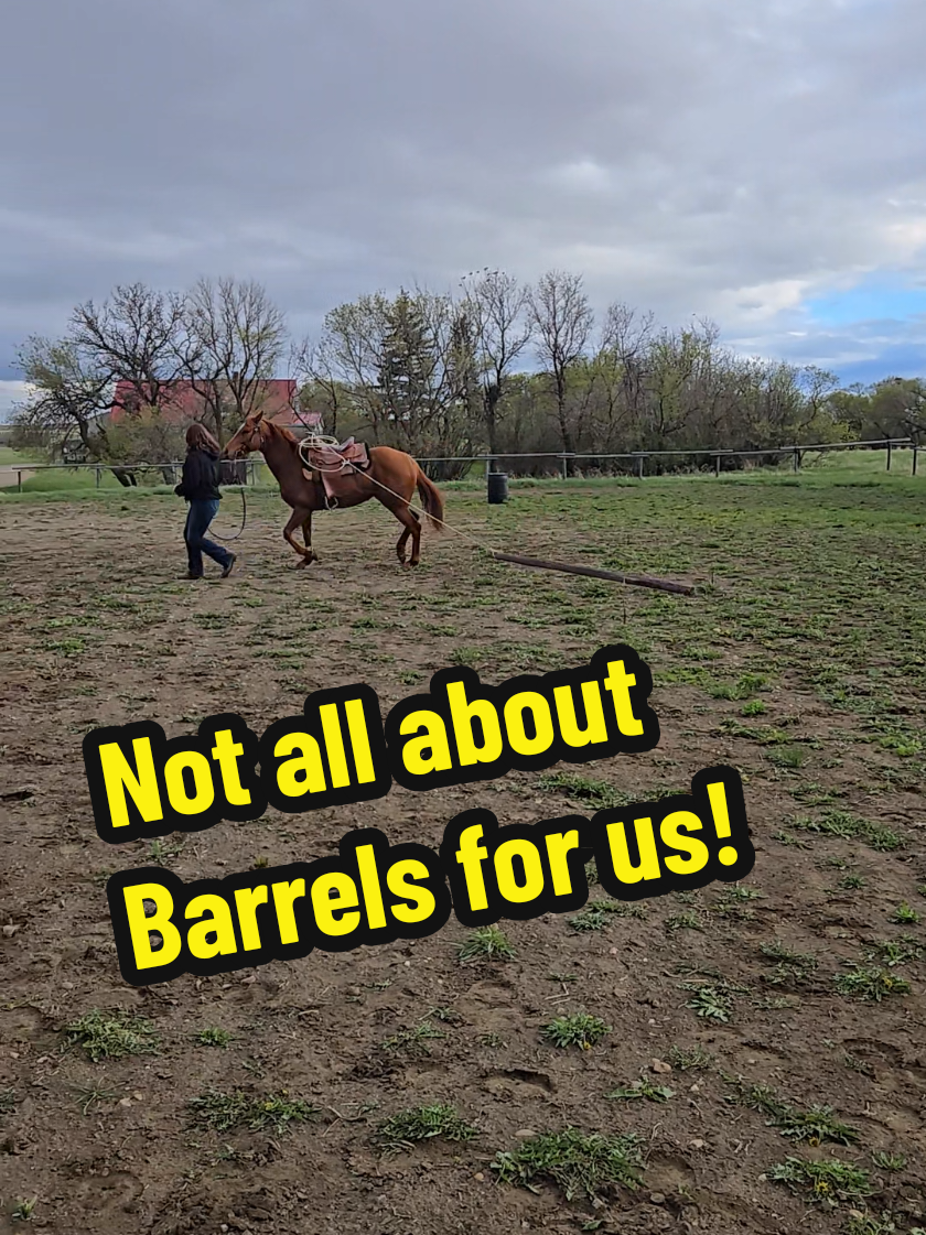 @Barrel Racing Journey