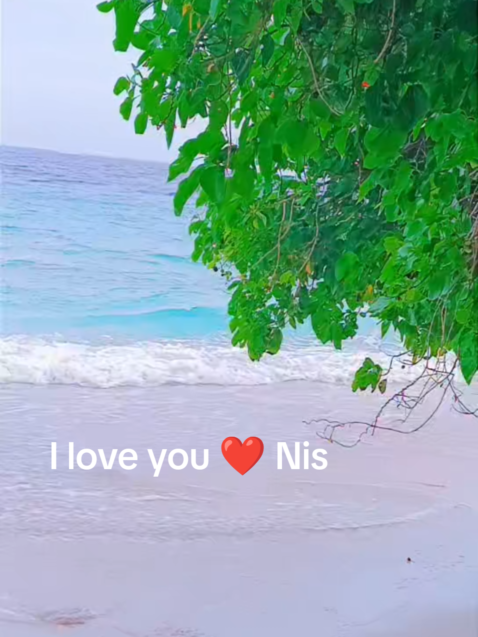 @user Youtty 1414