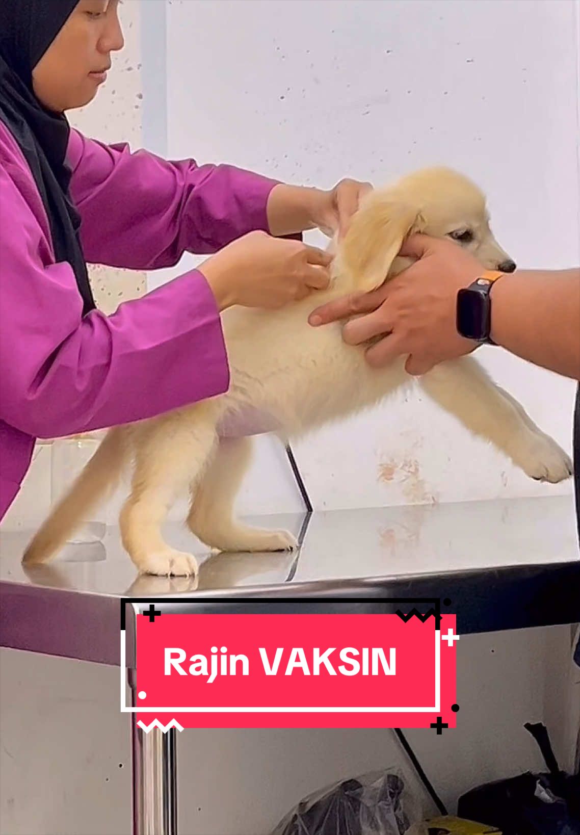 @kaka_guguk