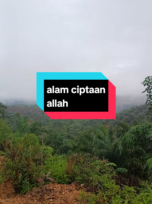 @Lina Tambunan