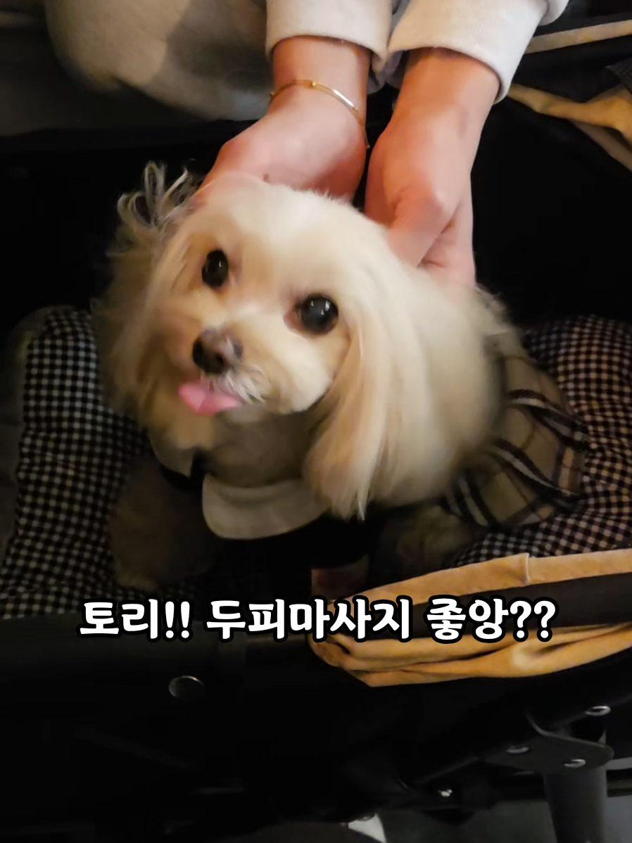 @토리엄마