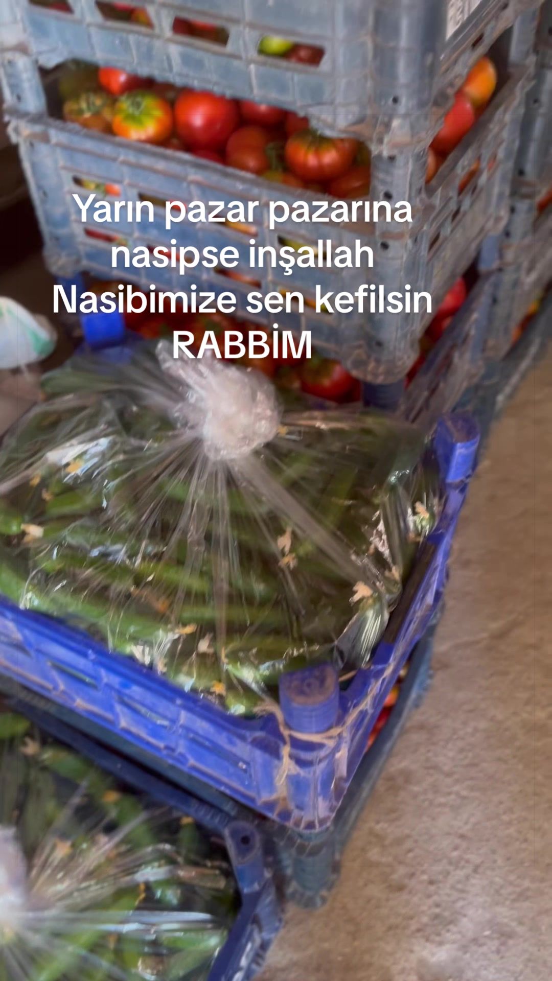 @Doğan Burcu ER