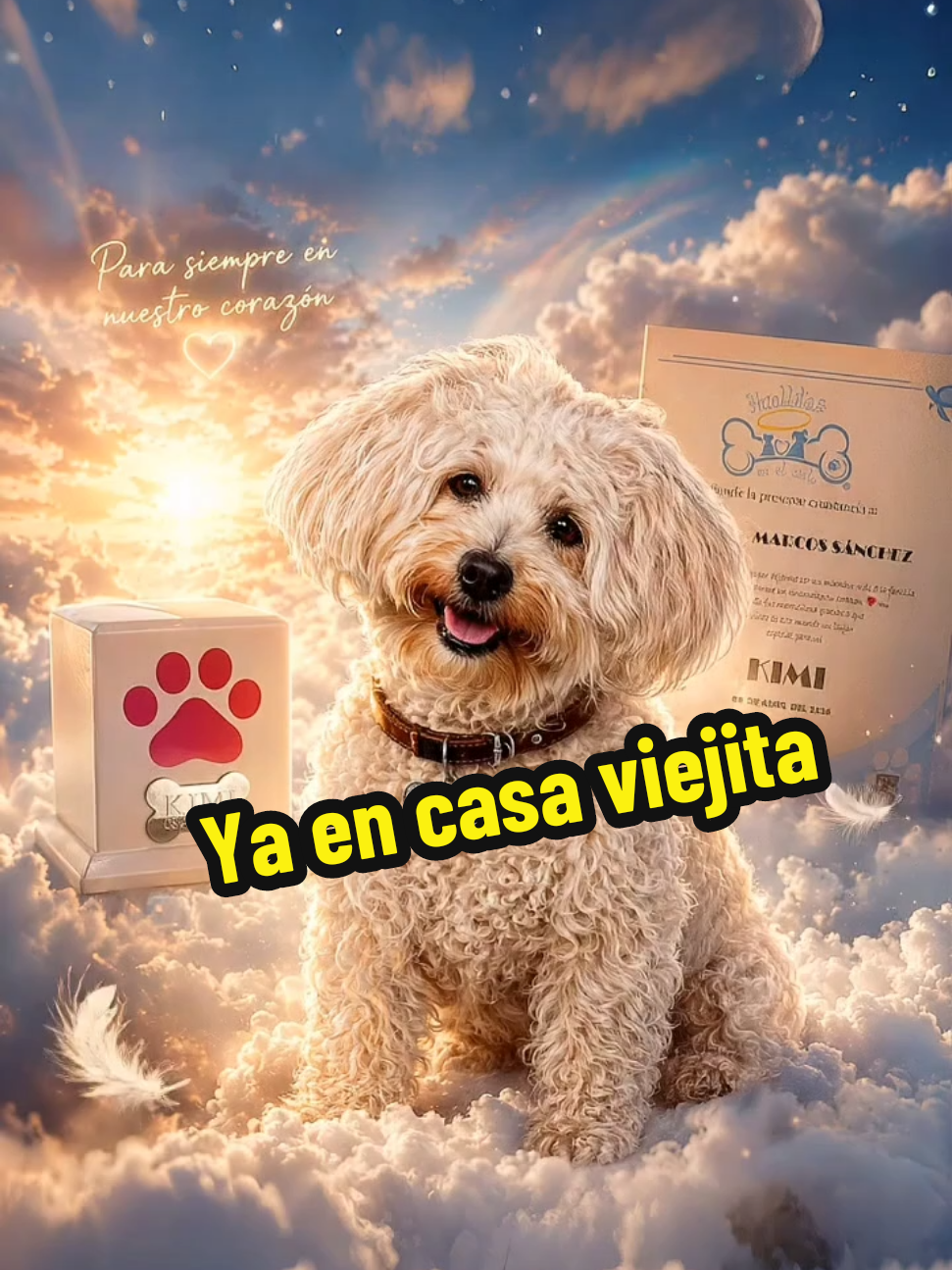 @Mundogycats