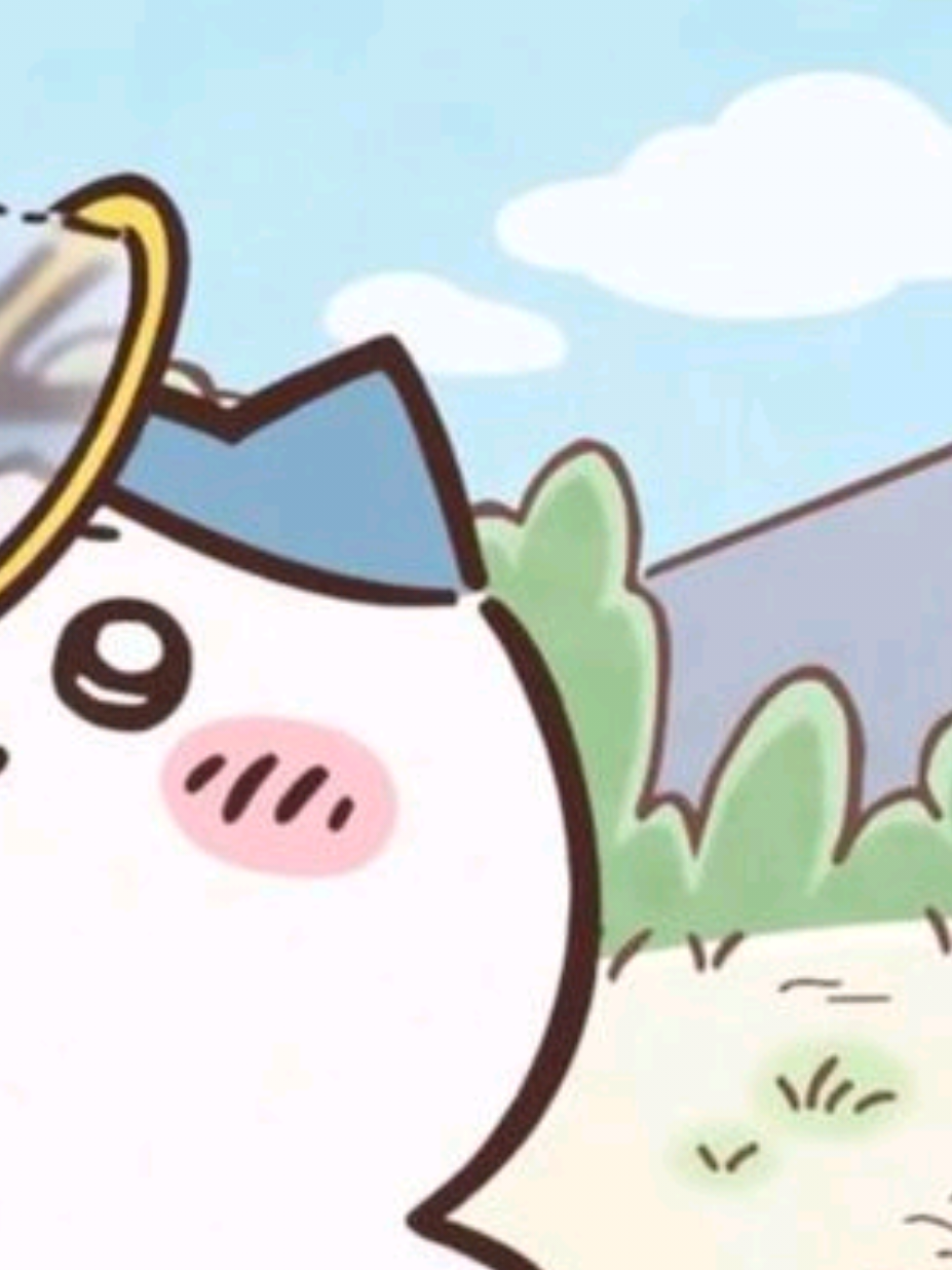 @tofu