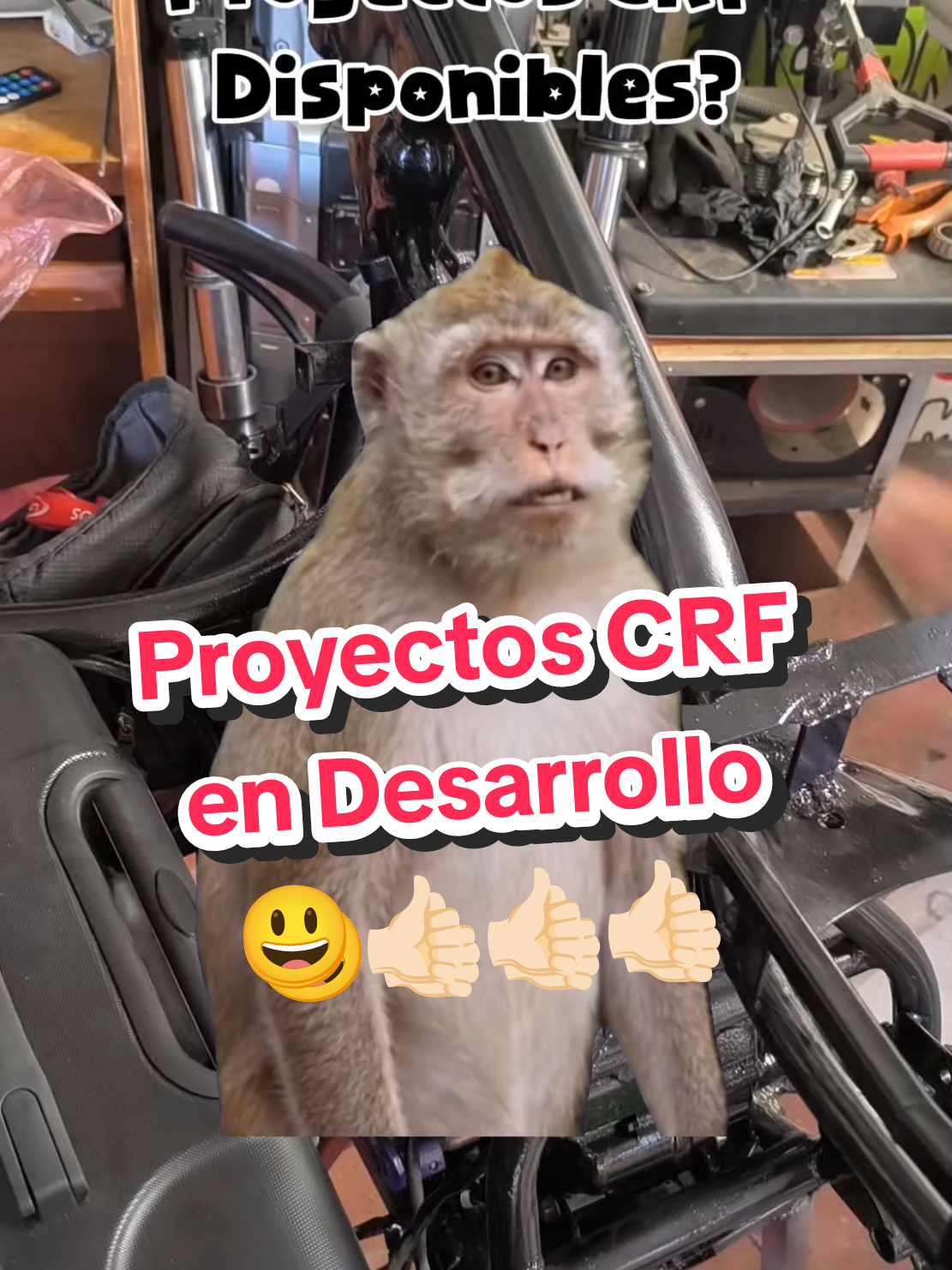 @Sparky Tuning Motos 🏍️🦊 🇵🇪