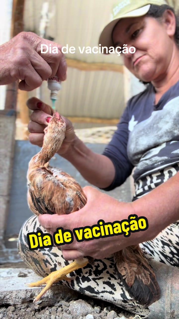 @Silvana Franco /vida na ro&ccedil;a