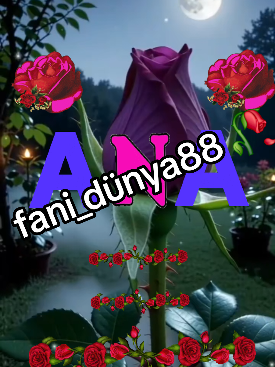 @꧁🖤fani🥀dunya88🖤꧂