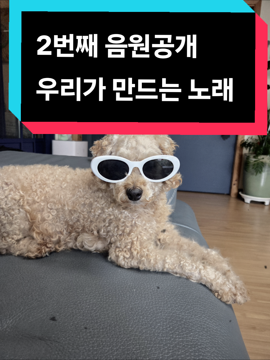 @스마트케이팝팜