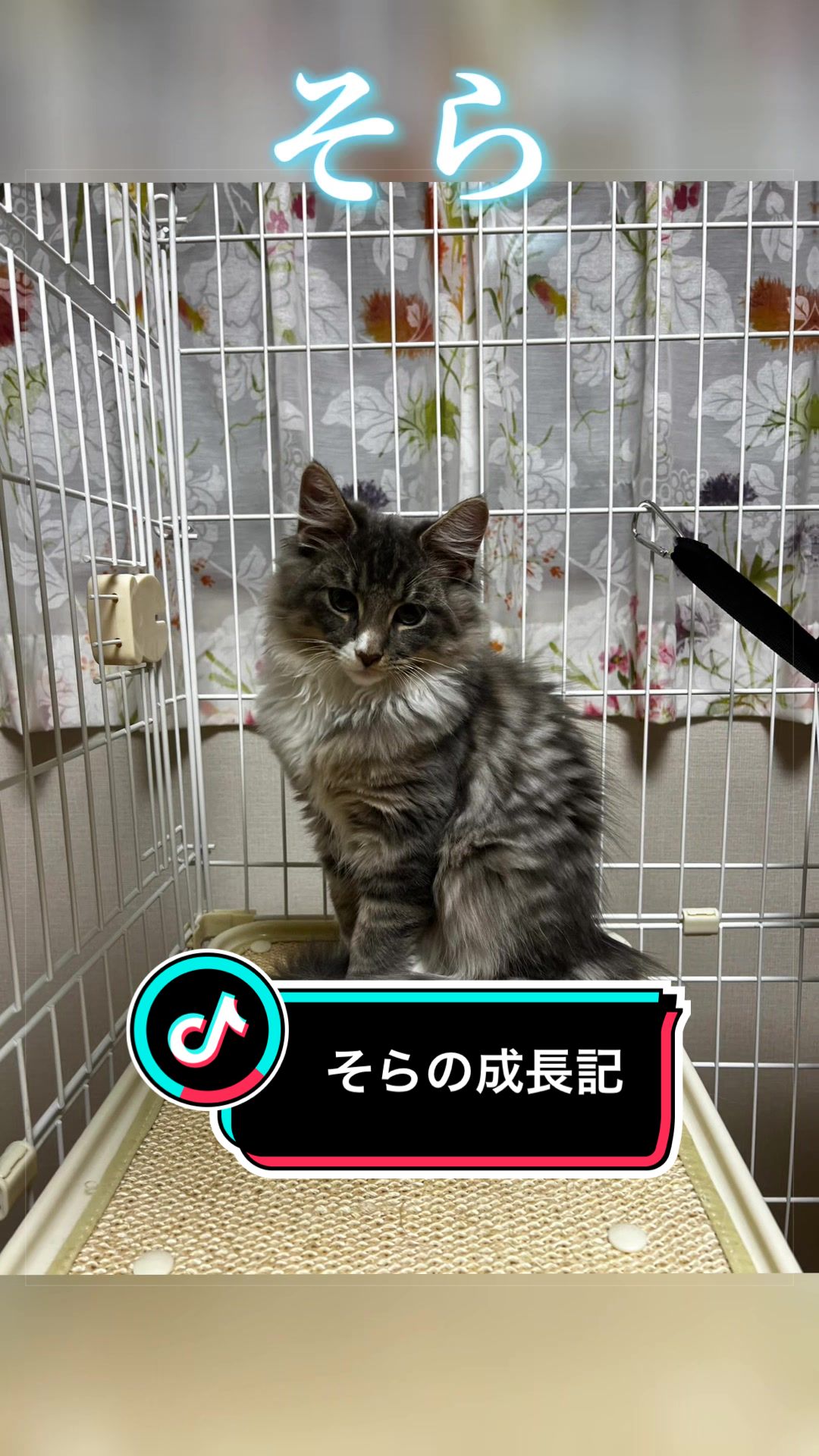 @稲荷弥勒