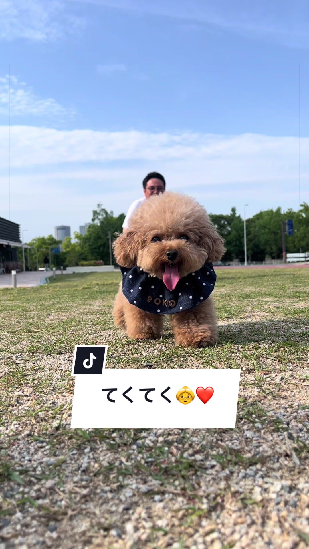 @しゃこたん犬ぽこ🐶🐰with子分