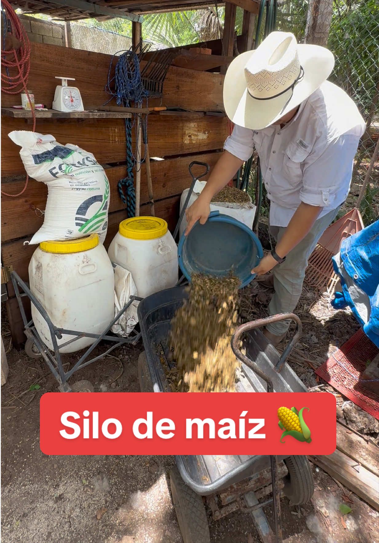@José Ramón Medina