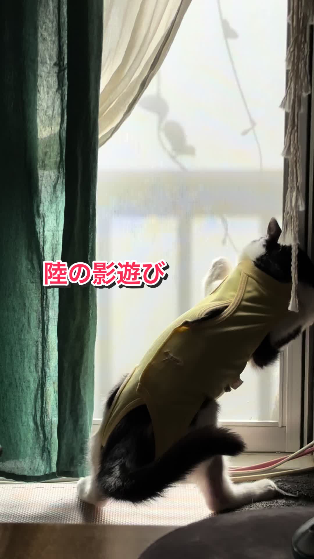 @陸丸 Rikumaru
