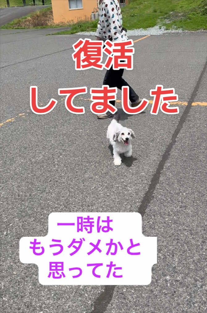 @もっさん