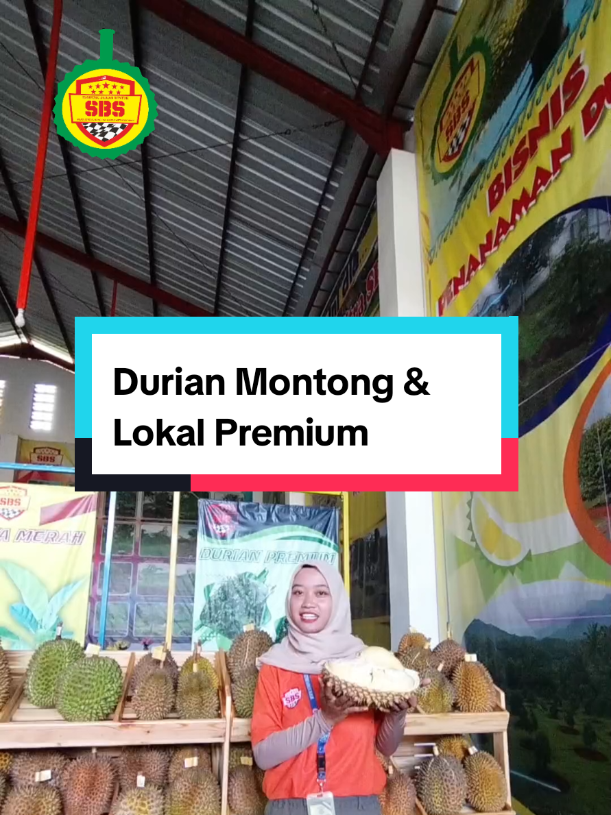 @Produksi Buah_SBS