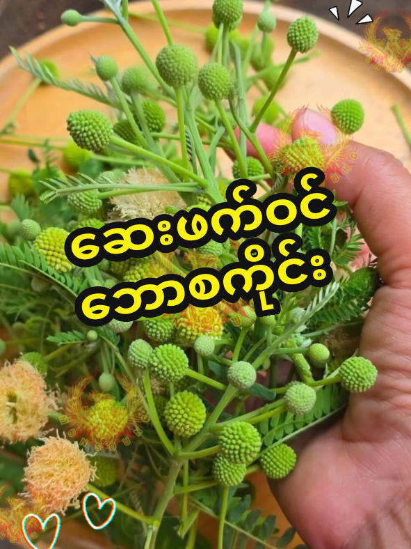 @ခင်