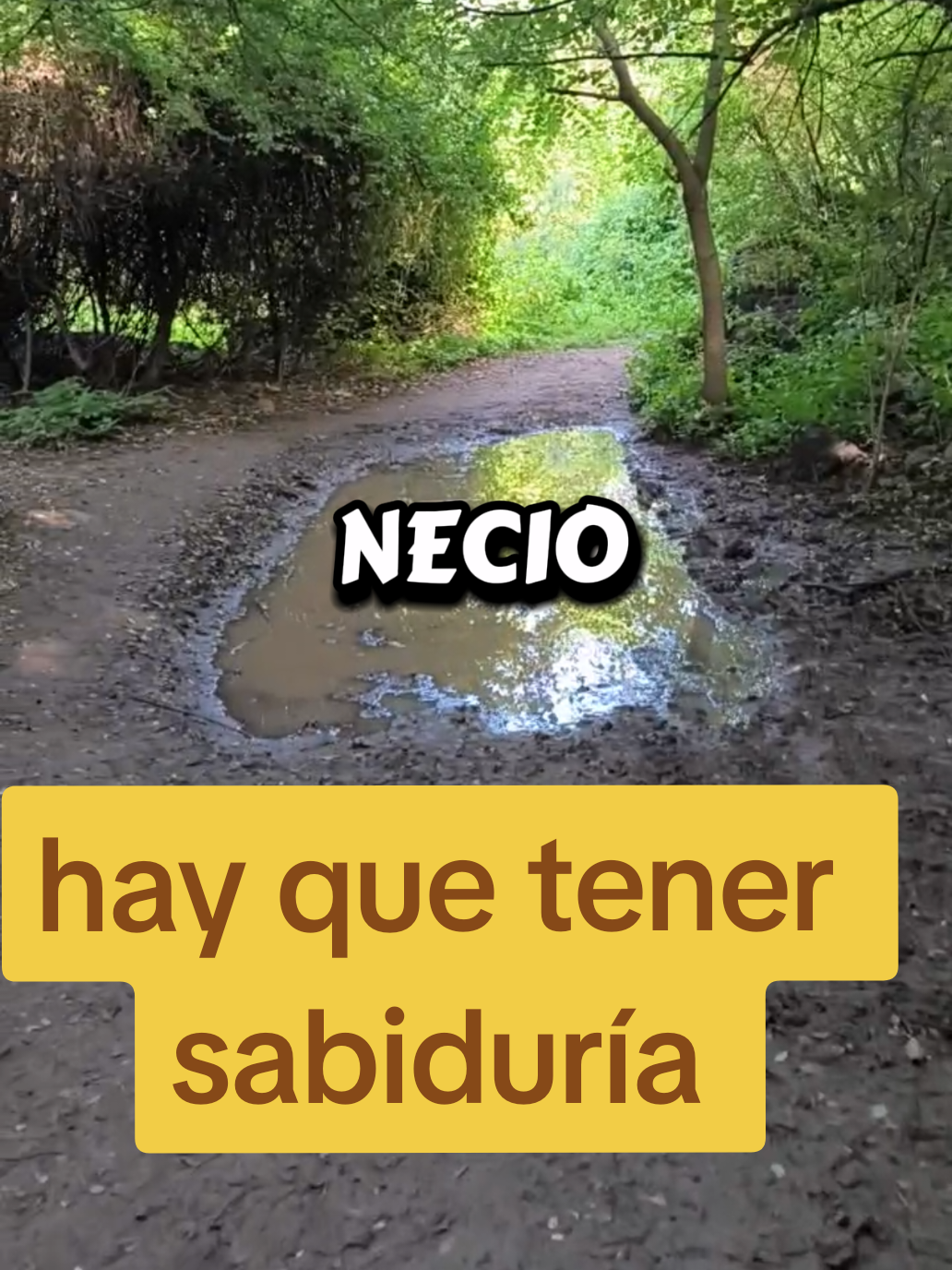 @RA&Uacute;L FL💙