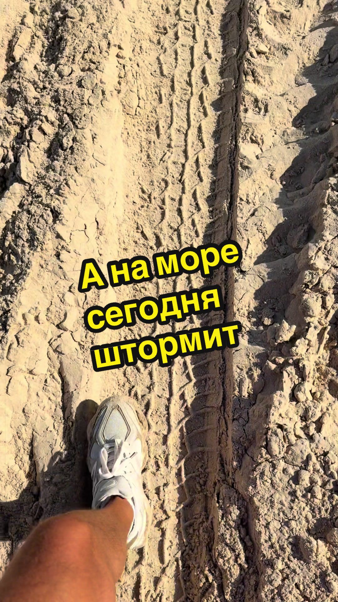 @Evgeniy Goldin
