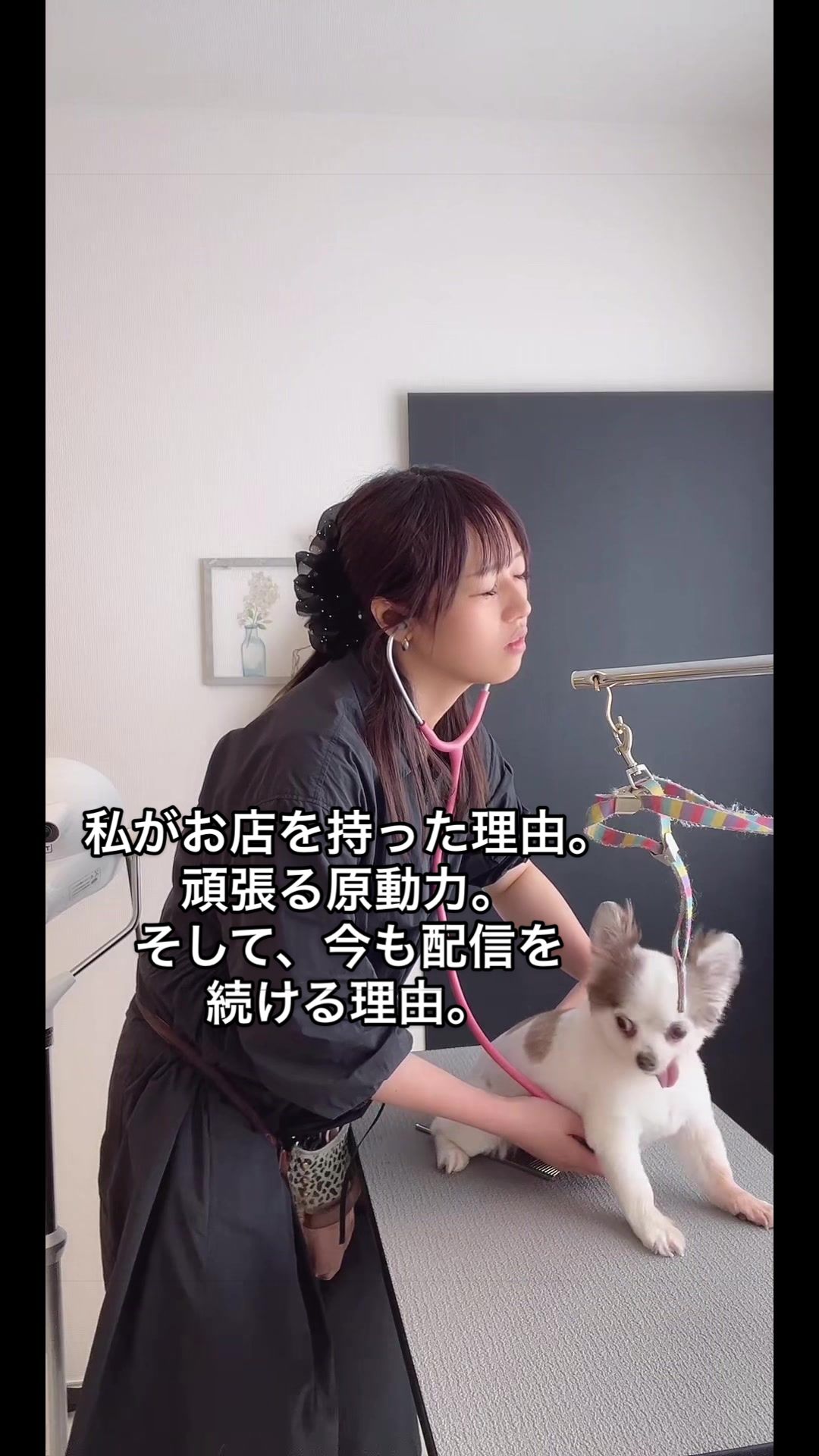@めい🌾🦊