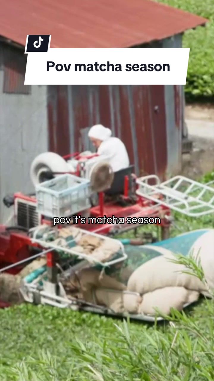 @Leo - Matcha Sensei