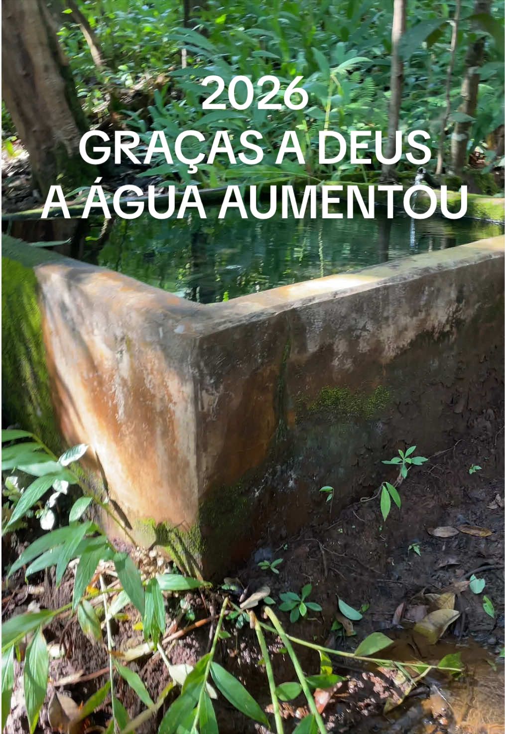 @JDM A NATUREZA EM AÇÃO