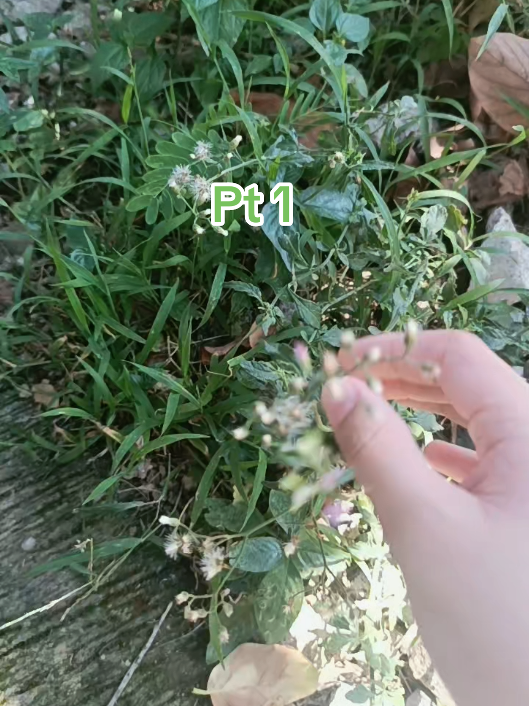 @ash⋆˚𝜗𝜚˚⋆