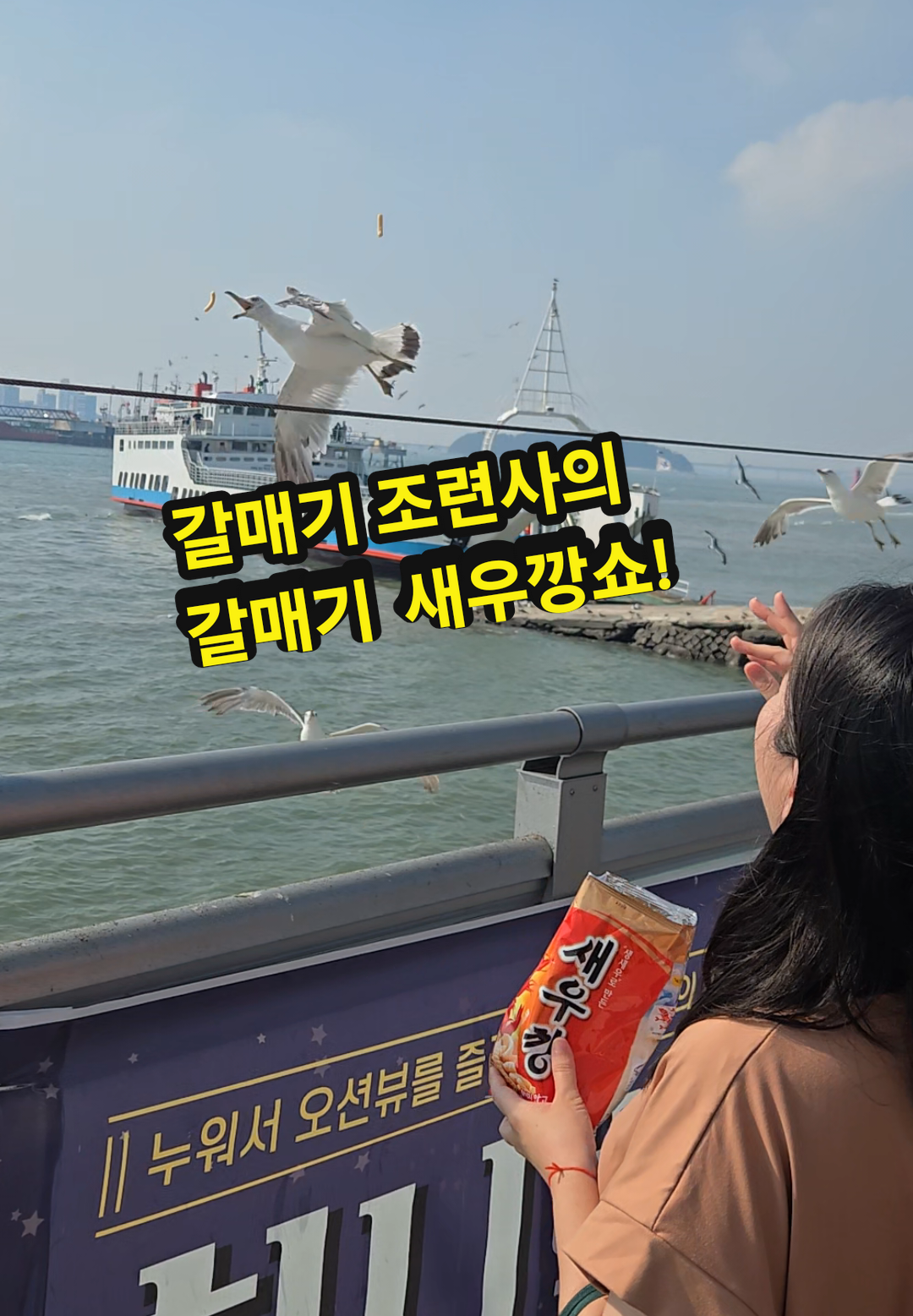 @공찬빈파파TV