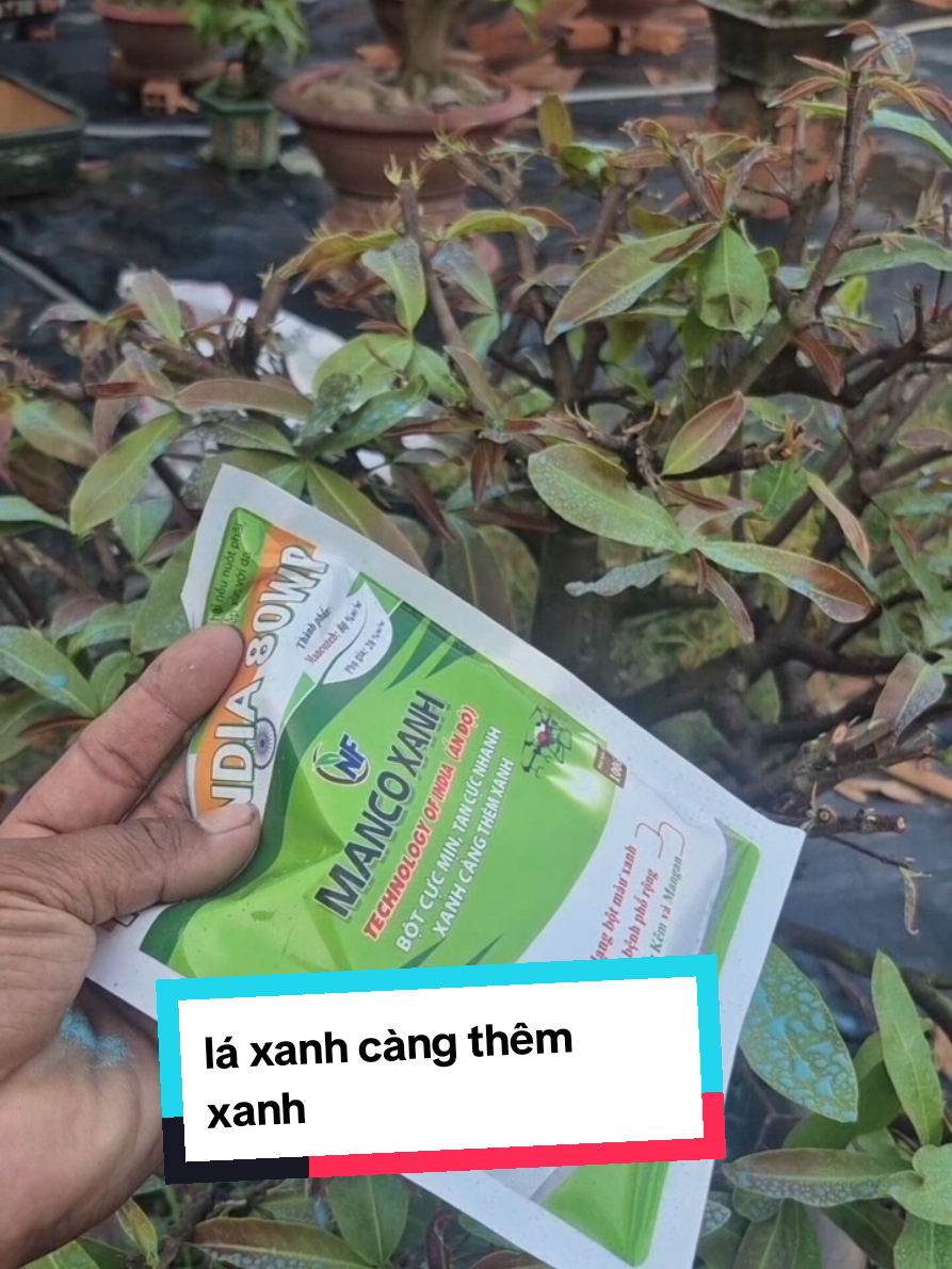 @Văn Long